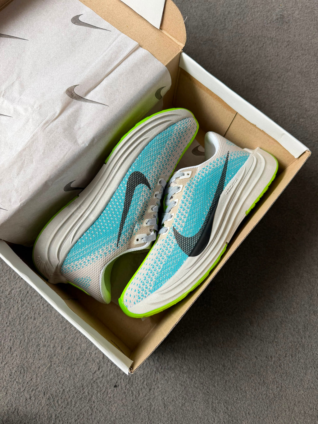 Tênis Unissex Nike Pegasus Plus Premium